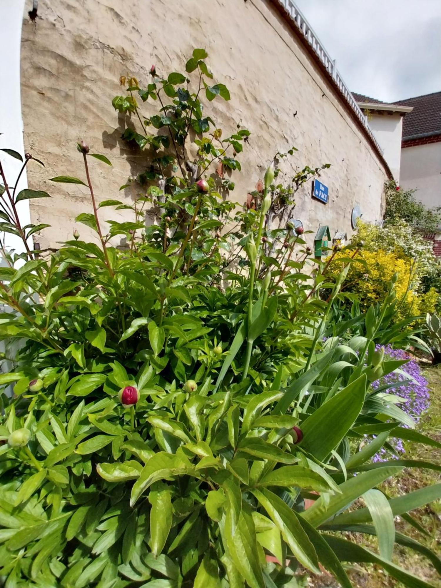 La Petite Maison Gasny 외부 사진